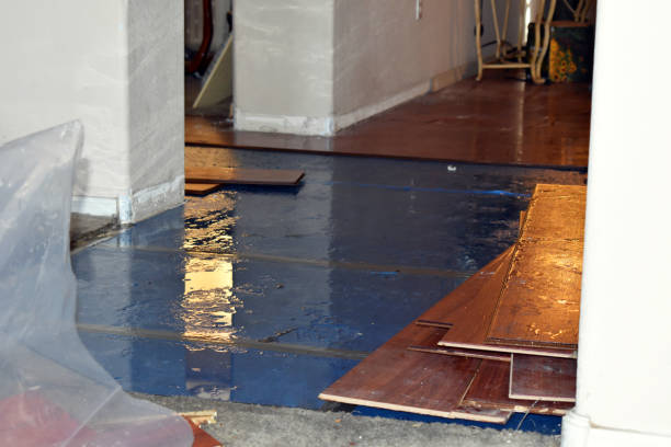 Professional Burst Pipe Cleanup technician working in South Tamworth, NH